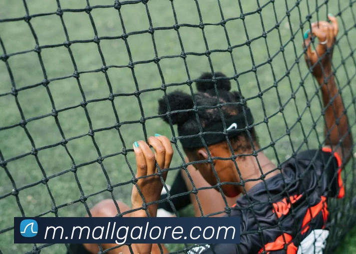 App 展示图